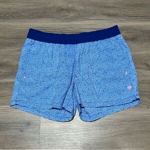 Mountain Hardwear Women's XL Shorts Blue Pull On Nylon Hiking Outdoor Gorpcore